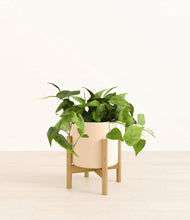 Lade das Bild in den Galerie-Viewer, Cream stand:bamboo
