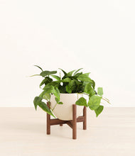 Lade das Bild in den Galerie-Viewer, Shiny EggWhite stand:walnut