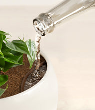 Lade das Bild in den Galerie-Viewer, Shiny EggWhite stand:all