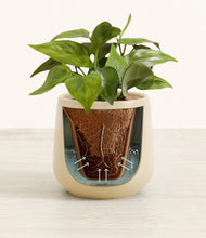 Load image into Gallery viewer, Almond Green stand:all