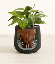 Load image into Gallery viewer, Black stand:all