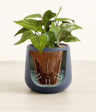 Load image into Gallery viewer, Deep Navy stand:all