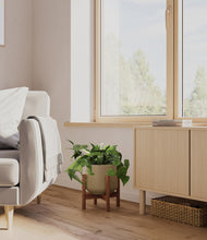Lade das Bild in den Galerie-Viewer, Olive stand:walnut