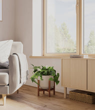 Lade das Bild in den Galerie-Viewer, Eternal Gray stand:walnut