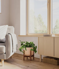 Lade das Bild in den Galerie-Viewer, Gentle Pink stand:walnut