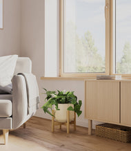 Lade das Bild in den Galerie-Viewer, Almond Green stand:bamboo