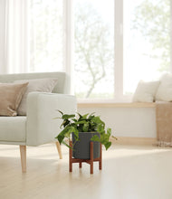 Lade das Bild in den Galerie-Viewer, Dark Olive stand:walnut