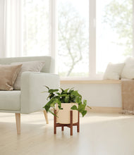 Lade das Bild in den Galerie-Viewer, Cream stand:walnut