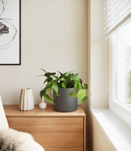 Lade das Bild in den Galerie-Viewer, Dark Olive
