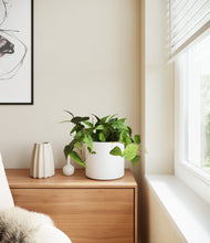 Lade das Bild in den Galerie-Viewer, White