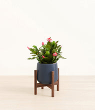 Load image into Gallery viewer, -