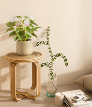 Load image into Gallery viewer, Almond Green