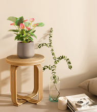 Load image into Gallery viewer, Eternal Gray