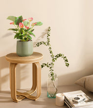 Load image into Gallery viewer, Turquoise