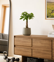 Load image into Gallery viewer, Olive