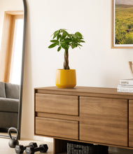 Load image into Gallery viewer, Mustard