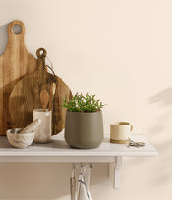 Load image into Gallery viewer, Olive