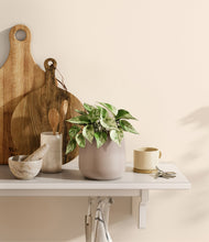 Load image into Gallery viewer, Eternal Gray