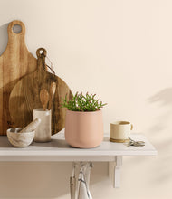 Load image into Gallery viewer, Gentle Pink