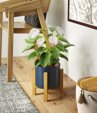 Load image into Gallery viewer, -