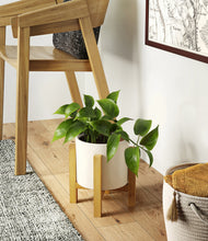 Load image into Gallery viewer, Cream stand:light