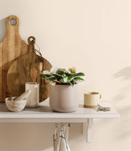 Load image into Gallery viewer, Eternal Gray