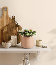 Load image into Gallery viewer, Gentle Pink