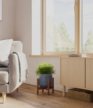 Load image into Gallery viewer, Deep Navy stand:walnut