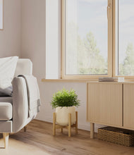 Load image into Gallery viewer, Almond Green stand:bamboo