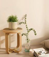 Load image into Gallery viewer, Almond Green