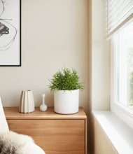 Load image into Gallery viewer, White