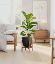 Load image into Gallery viewer, Stone Black stand:walnut