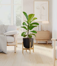 Load image into Gallery viewer, Stone Black stand:bamboo