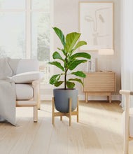 Load image into Gallery viewer, Iron Gray stand:bamboo