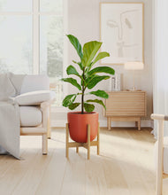 Load image into Gallery viewer, Earth Red stand:bamboo