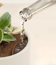 Load image into Gallery viewer, Cotton White stand:all