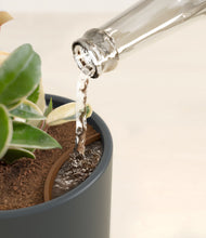 Load image into Gallery viewer, Iron Gray stand:all