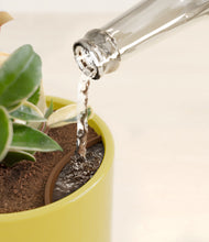 Load image into Gallery viewer, Key Lime Yellow stand:all