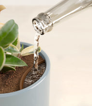 Load image into Gallery viewer, Misty Blue stand:all