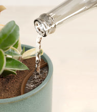 Load image into Gallery viewer, Reactive Aqua stand:all