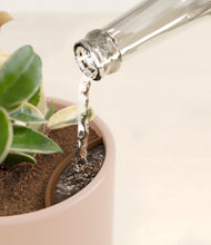 Load image into Gallery viewer, Sandy Pink stand:all