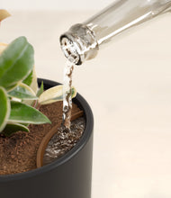 Load image into Gallery viewer, Stone Black stand:all