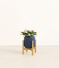 Load image into Gallery viewer, Deep Navy stand:bamboo