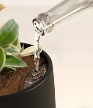 Load image into Gallery viewer, Black stand:all