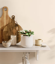 Load image into Gallery viewer, White