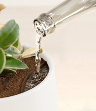 Load image into Gallery viewer, White stand:all