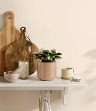 Load image into Gallery viewer, Glossy Pink