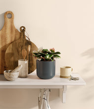 Load image into Gallery viewer, Iron Gray