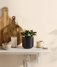 Load image into Gallery viewer, Stone Black