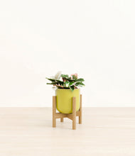 Load image into Gallery viewer, Key Lime Yellow stand:bamboo